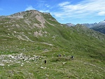 spiztraf16 082m
